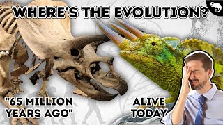 Evolutionary Biologist Reacts to Creationist Arguments