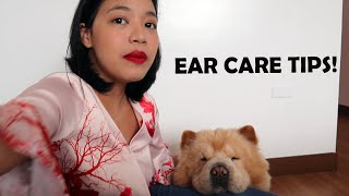 EAR CARE TIPS FOR DOGS/CHOW-CHOW (Vlog#81) by funneimom 801 views 1 year ago 13 minutes, 1 second