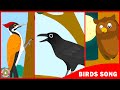 Birds song  learn about birds  toddler series  kids song by bindis music  rhymes