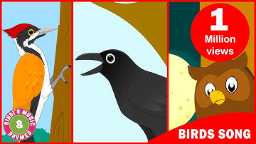 Birds Song | Learn about birds | Toddler Series | Kids song by Bindi
