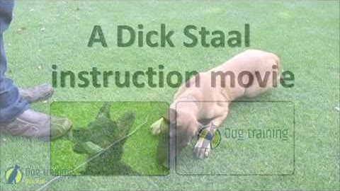 Promo "Passive alert"