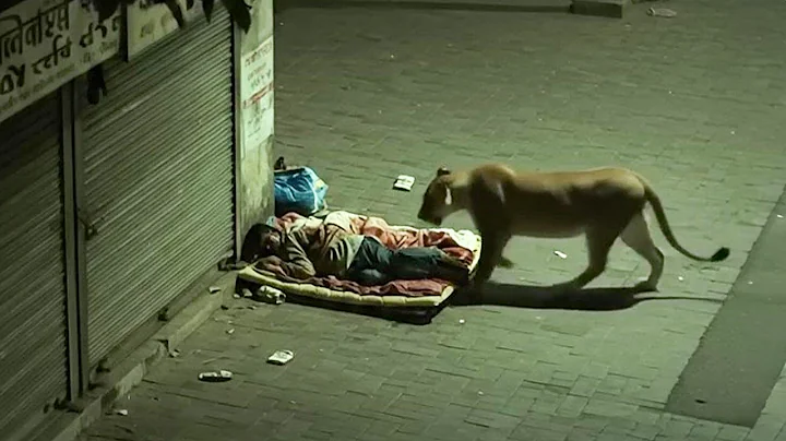 This was actually filmed with a camera.