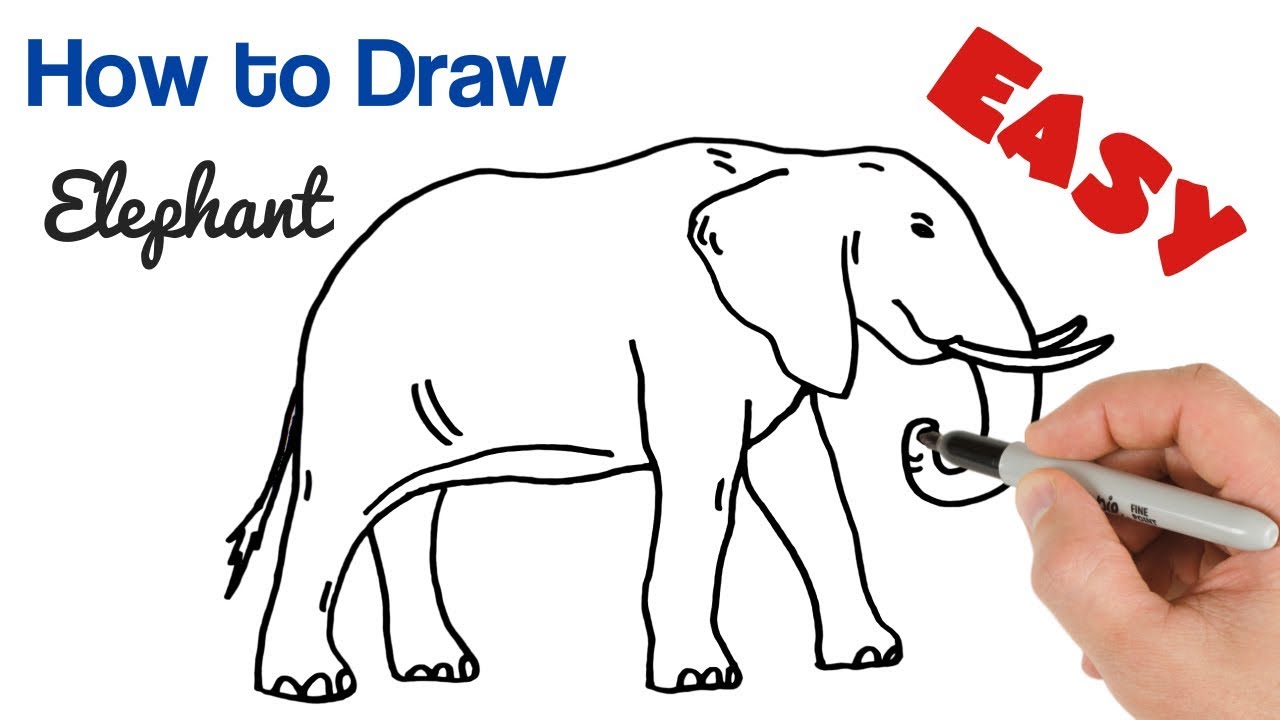 How to Draw an Elephant Easy Step by Step | Art Tutorial for Beginners ...