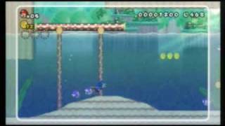4 1 New スーパーマリオブラザーズ Wii 攻略wiki 4 1 New スーパーマリオブラザーズ Wii 攻略wiki