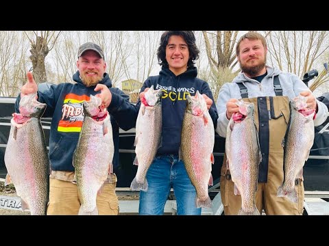 Giant Rainbow Trout Fishing in Washington, New Episode dropped yesterday  🔥 Bullet Lure proved to be good for giants.. 🎣 Full Video