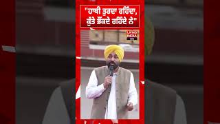 "ਹਾਥੀ ਤੁਰਦਾ ਰਹਿੰਦਾ, ਕੁੱਤੇ ਭੌਂਕਦੇ ਰਹਿੰਦੇ ਨੇ" | CM Bhagwant Mann | Punjab Government | Punjab Rally