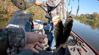 Better Bite. Bigger Fish. Warrior River Bass Fishing.