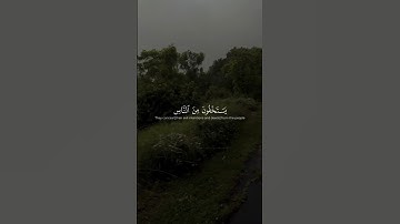 تلاوة خاشعة مؤثرة للشيخ ياسر الدوسري | قوله تعالى ﴿يَستخفون من النَّاسِ وَلَا يسْتخفون مِنَ اللَّهِ﴾