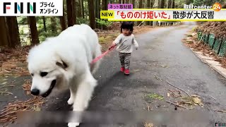 まるで「もののけ姫」？　超大型犬と1歳女児の“お散歩映像”　再生回数が1700万回超