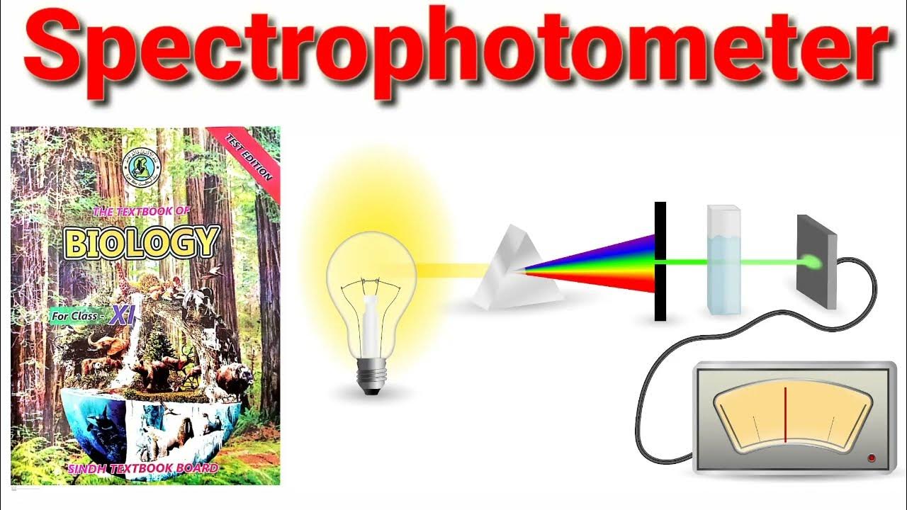 Spectrophotometer (XI Biology) YouTube