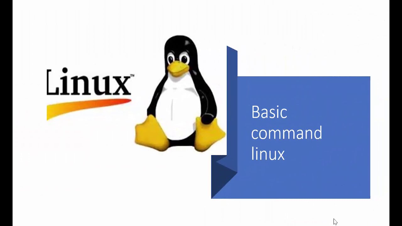 คำสั่ง linux pdf  2022 Update  ทำความรู้จักคำสั่งพื้นฐาน Linux File View