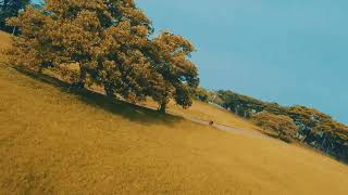 Hqprop 5X4X6 Six Blades Runcam Thumb Pro