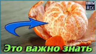Список недугов, которые поможет решить кожура мандарина Список недугов, которые поможет решить кожура мандарина