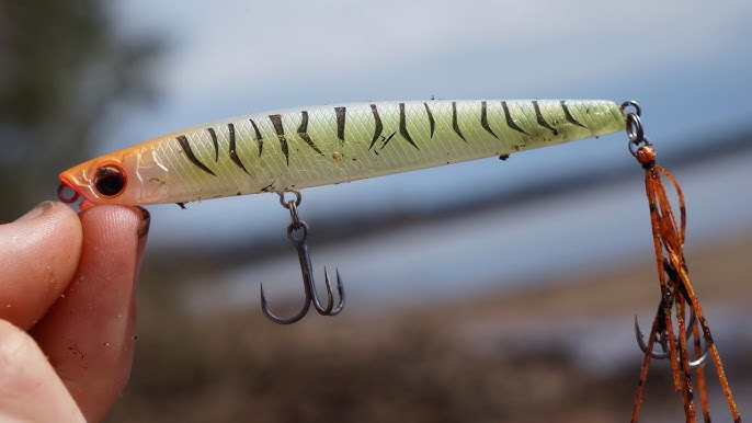 How to Catch Whiting on Lures – Daiwa Australia