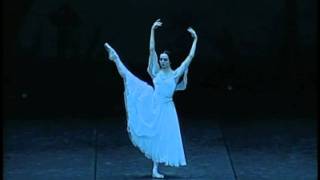 東京バレエ団「ジゼル」ディアナ・ヴィシニョーワ／The Tokyo Ballet"Giselle"