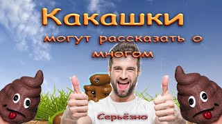 Какашки могут рассказать о многом