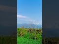   زار مسافرہ دازل اختر تہ راشہ دزڑہ سرہ