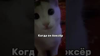 ПХПХПХПХХПХАХХААХ лю его❤️‍🩹