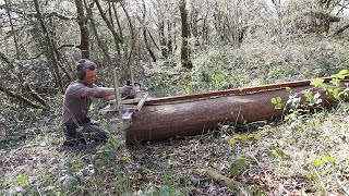 Off Grid Earthbag Workshop, Part 50 Harvesting Wood From My Woodland