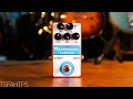 A FUZZ like no other!! Mozztronics FZ-360 Fuzz