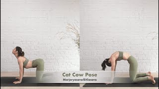 How To Do Cat Cow Pose Marjaryasana-Bitilasana