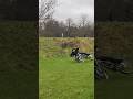 Дэнис жоско красиво упал #freeride #mtb #мтб #фрирайд #мем #рофл #прикол #bikelife
