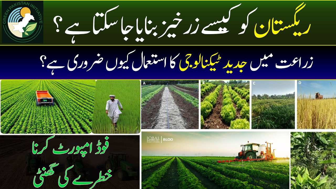 🌱 Green Pakistan Initiative: Turning Deserts Green & Revolutionizing ...