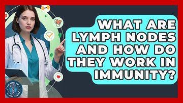 What Are Lymph Nodes And How Do They Work In Immunity? - All About the Immune System