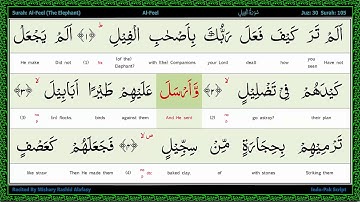 Surah 105 Al Fil   سورة الـفيل   The Elephant, Word by Word Highlighted Arabic+English