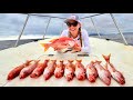 Jigging for nylon snapper catch  cook punta aritda colombia
