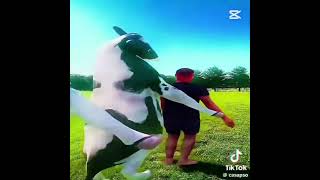 Lvlc 5 Votka Votka Ben Luka Edit