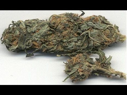 D-Bomb - Marihuana
