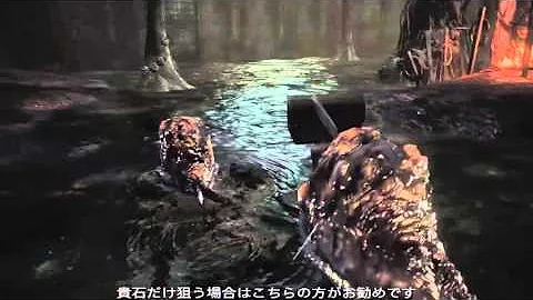ダクソ3 貴石