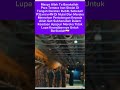 pesawat iran viral #iran #israel #shorts