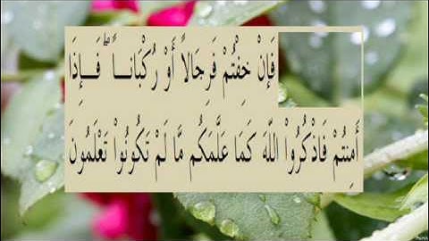 القران الكريم سورة البقرة الاية  239
