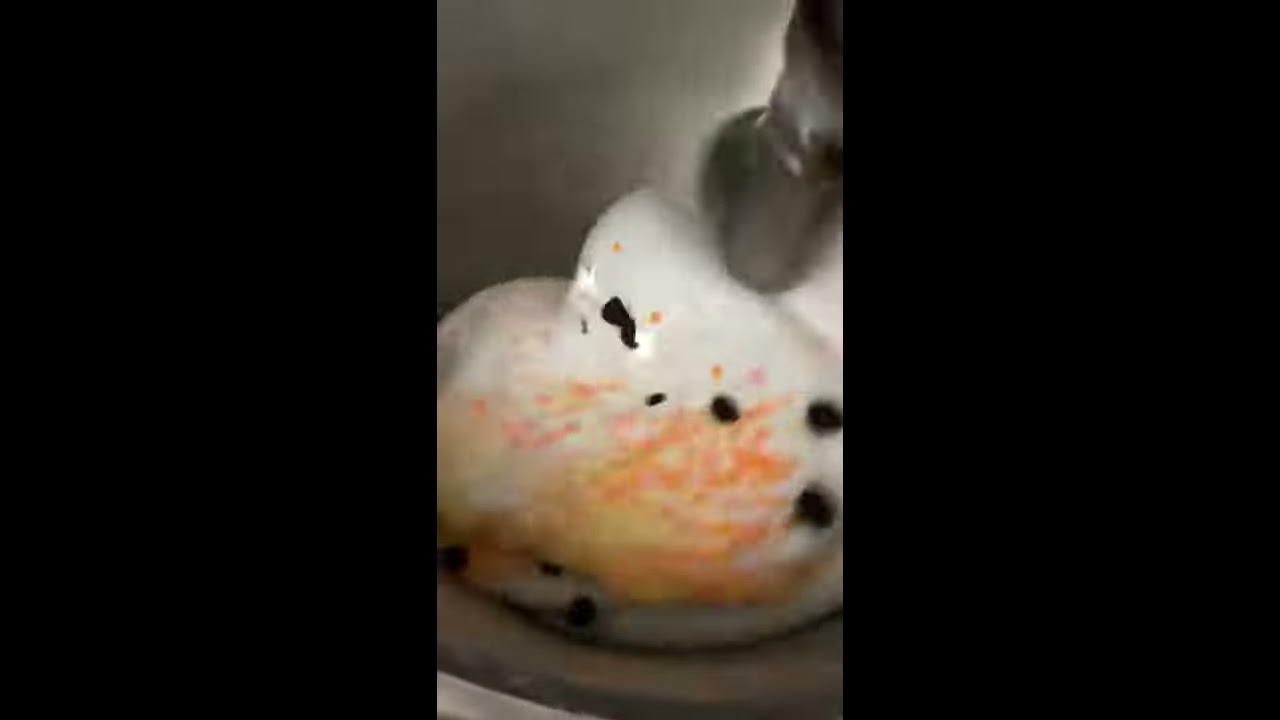 Candy Corn Boba 