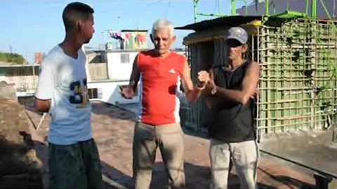 Baluja la sabiduria en la paloma