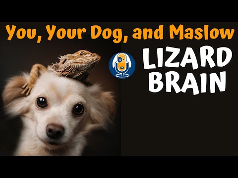 You, Your Dog, Maslow and Lizard Brain #7