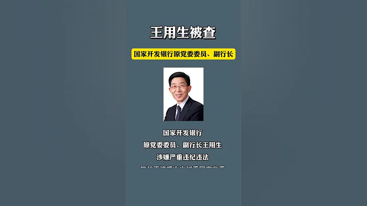 国开行原副行长王用生被查 - 天天要闻