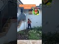🌳 Tree Trimming & Garden Clean-Up – Oleh’s Services #treecutting #hobartgardening #gardencleanup