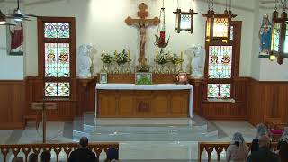Ninth Sunday after Pentecost - 26th July 2026