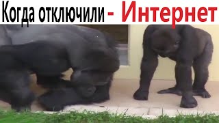 Приколы! Когда Отключили - Интернет!!! Видео - Мемы, Смешные Истории От Доми Шоу