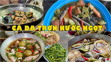Muôn vị món ngon từ CÁ DA TRƠN NƯỚC NGỌT đặc sản miền Tây | Đặc sản miền sông nước