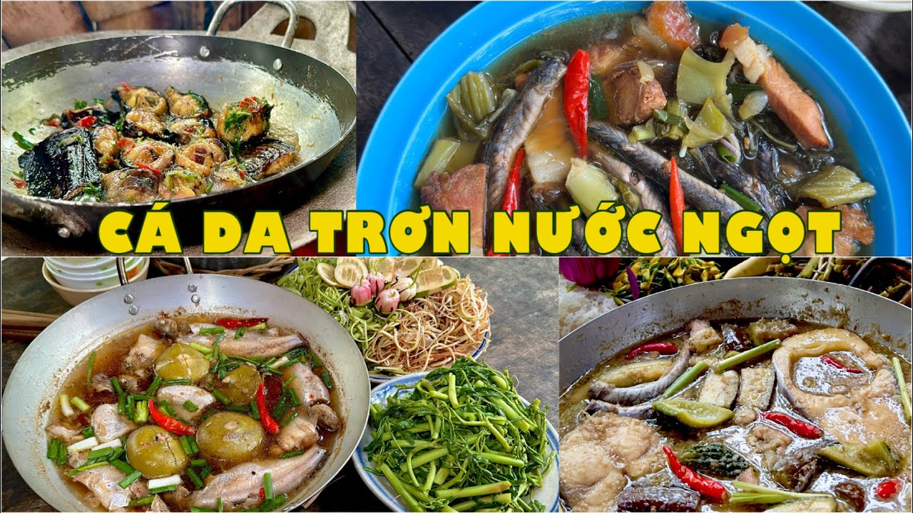 Muôn vị món ngon từ CÁ DA TRƠN NƯỚC NGỌT đặc sản miền Tây | Đặc sản miền sông nước