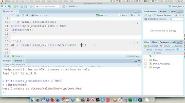 R Project and Here Package
