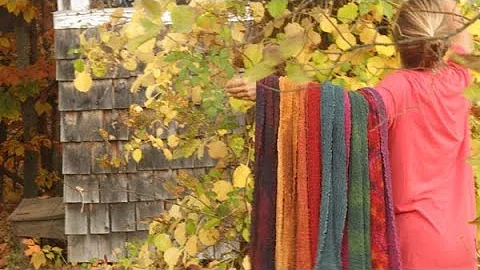 Marilyn Beal, naturally dyed scarves