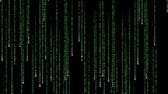 Wallpaper Animado Do Matrix Youtube