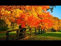 Beautiful Relaxing Music, Peaceful Soothing music "September Autumn Leaves" in 4k by Tim Janis