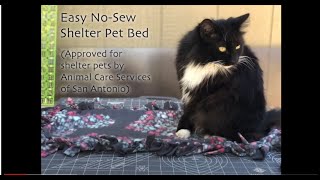 SAPL Adult Virtual Programming: No Sew Shelter Ped Bed screenshot 5