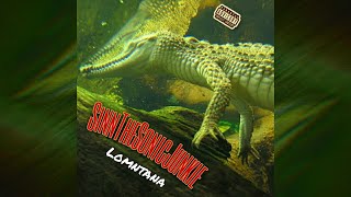 sinnthesonicjunkie   Lomntana